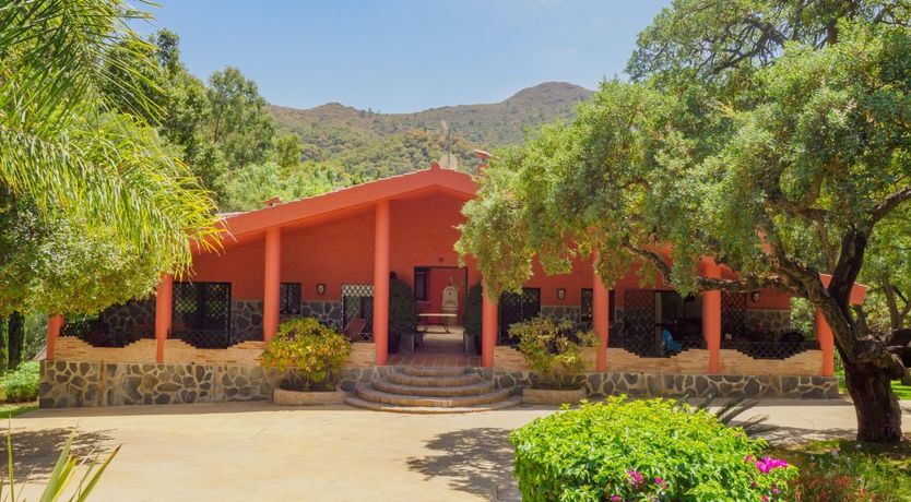 Photo of Flamingo Flamenco