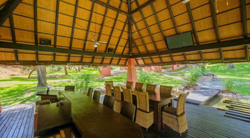 Photo of Flamingo Flamenco