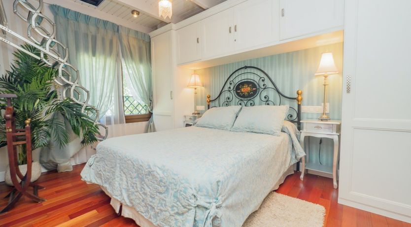 Photo of Flamingo Flamenco