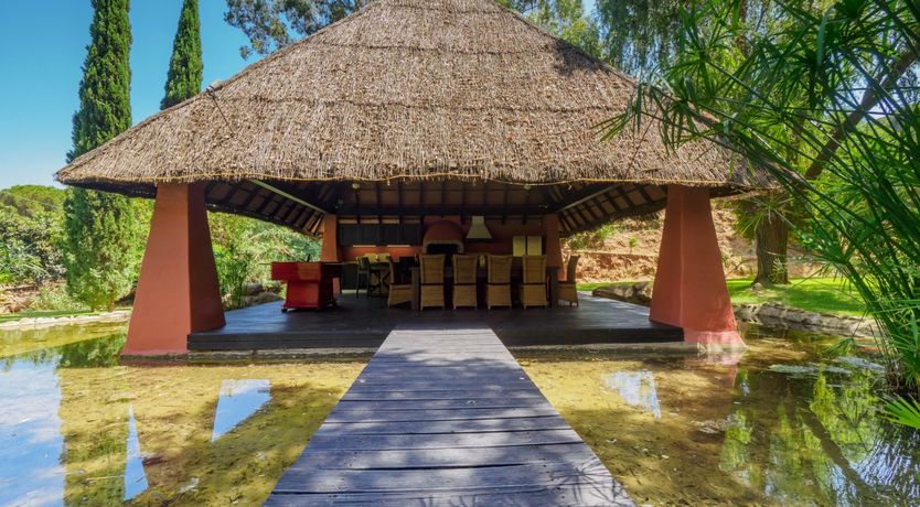 Photo of Flamingo Flamenco