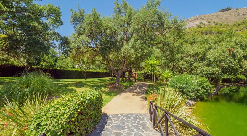 Photo of Flamingo Flamenco