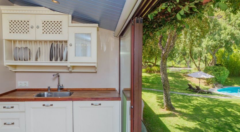 Photo of Flamingo Flamenco