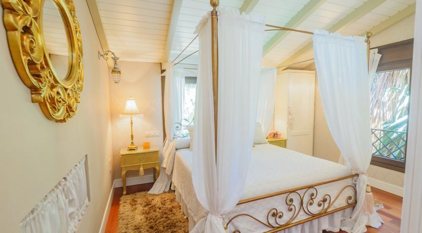 Photo of Flamingo Flamenco