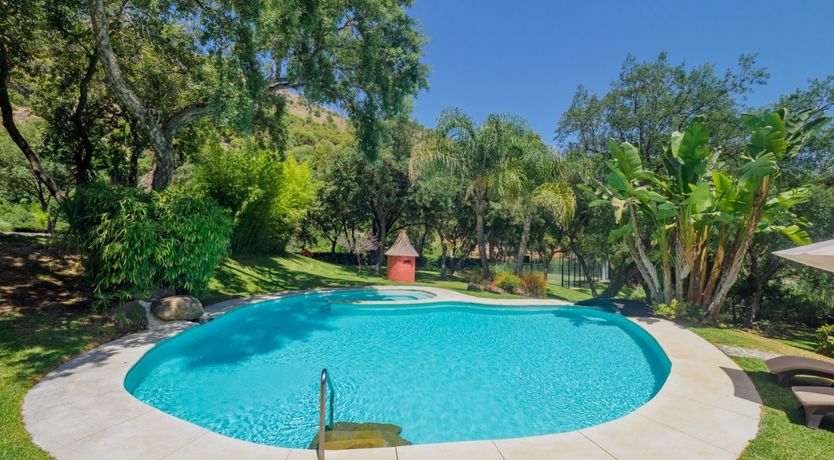 Photo of Flamingo Flamenco