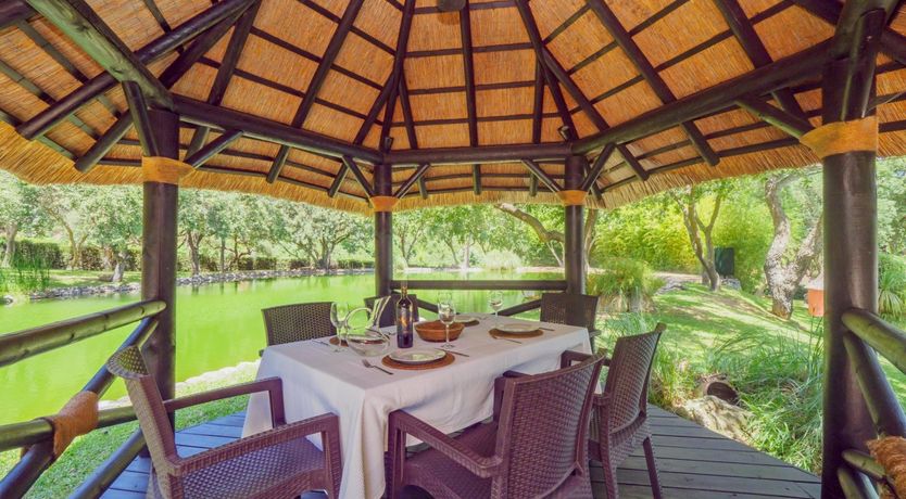 Photo of Flamingo Flamenco