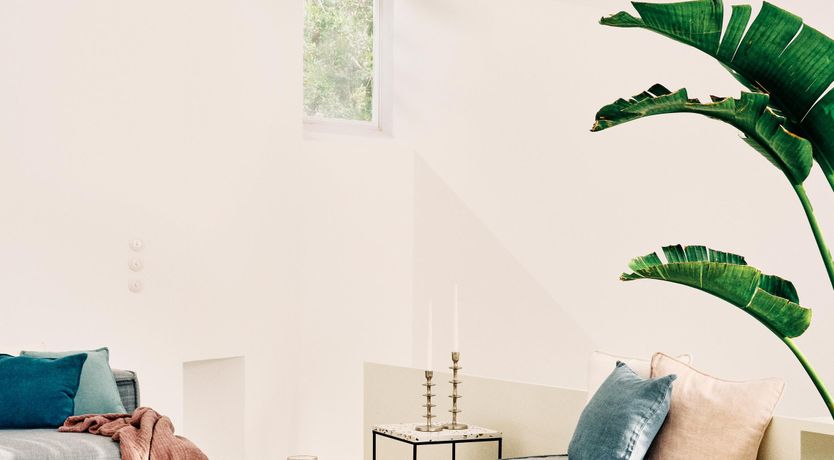 Photo of Contemporary Casa