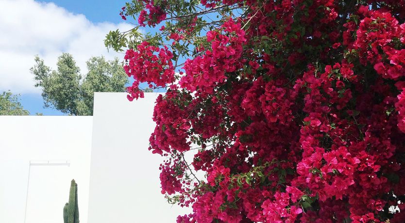 Photo of Contemporary Casa