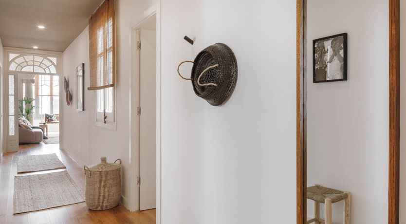 Photo of Cerdà's Jungle