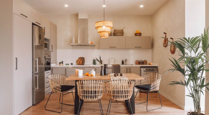 Photo of Cerdà's Jungle