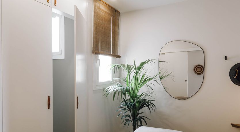 Photo of Cerdà's Jungle