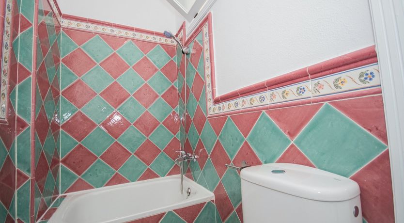 Photo of Hoping for a Hoopoe