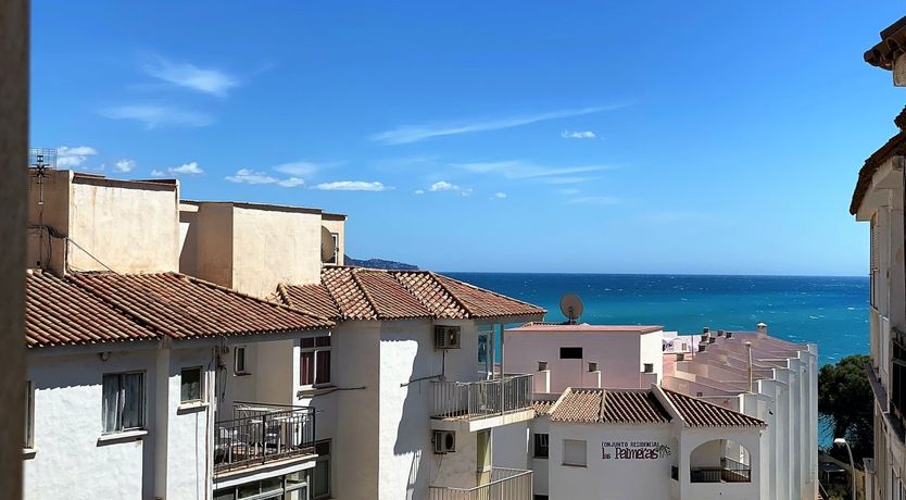 Photo of Lemon Abstract