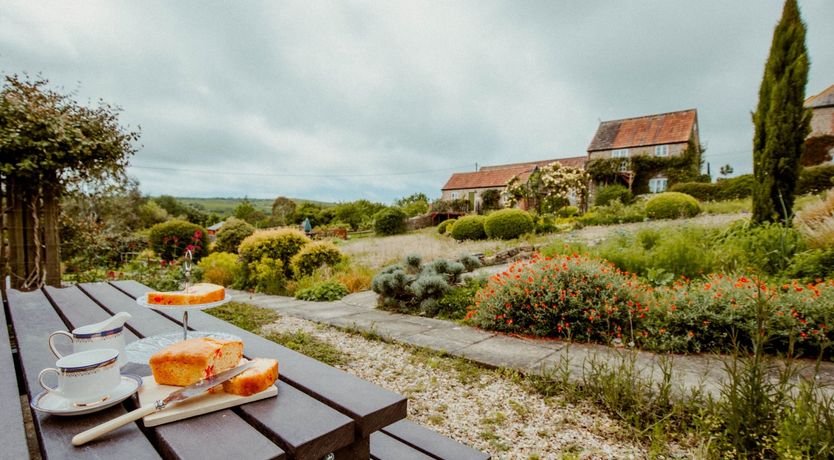 Photo of The Hopping Hare