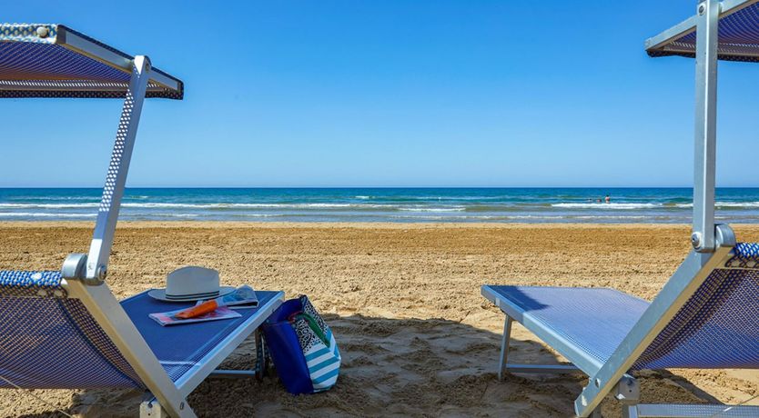 Photo of Seashells Sleeping on the Shore