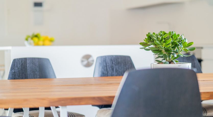 Photo of Sequestered & Sunshine