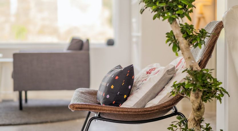 Photo of Sequestered & Sunshine