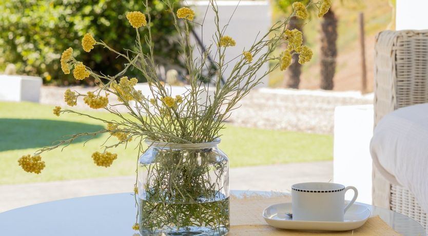 Photo of Sequestered & Sunshine