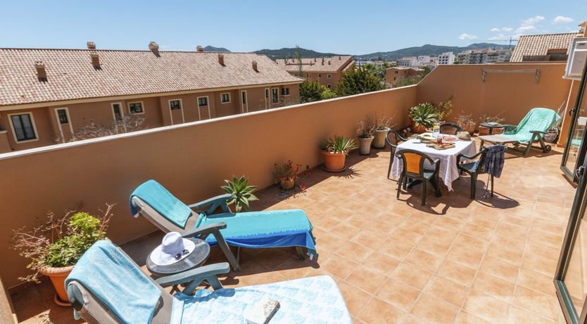 Photo of Palms, Plants & Pools