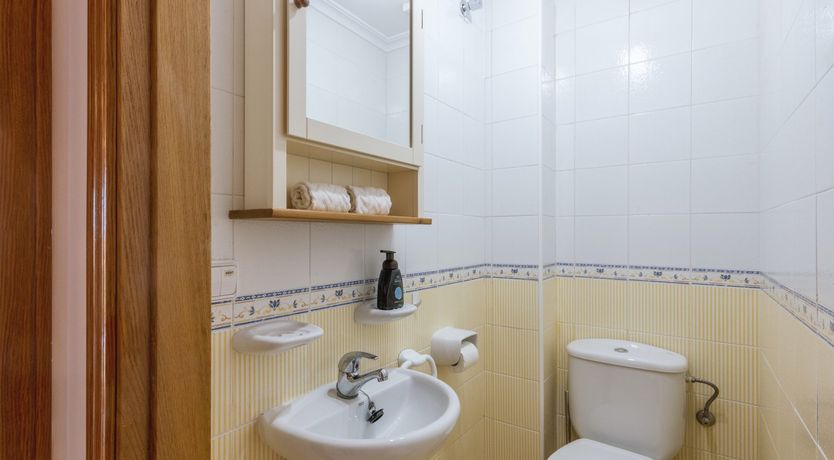 Photo of Palms, Plants & Pools