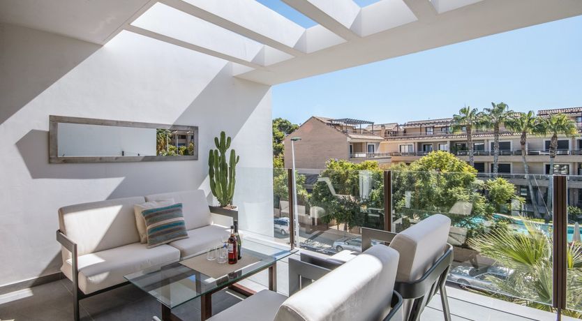 Photo of Ivory Cactus