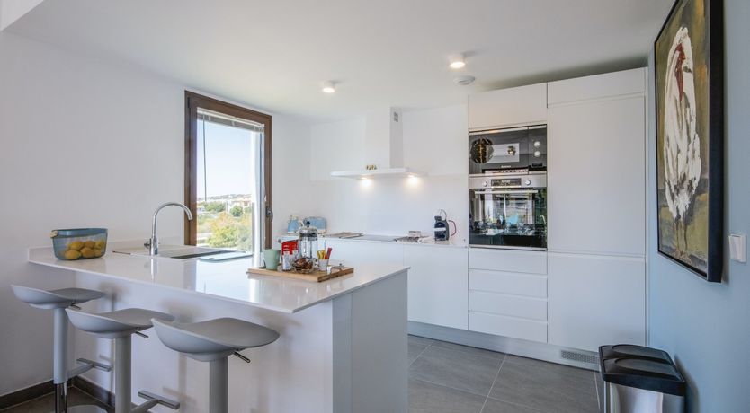 Photo of Ivory Cactus