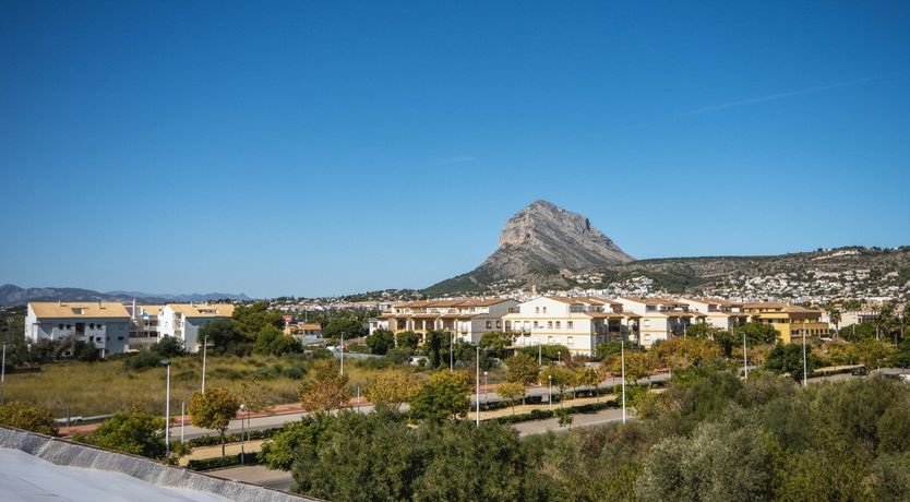 Photo of Ivory Cactus