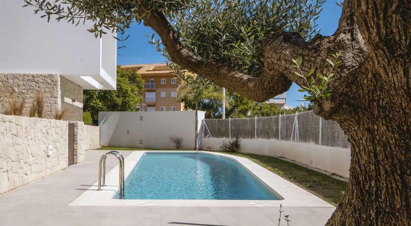 Photo of Ivory Cactus