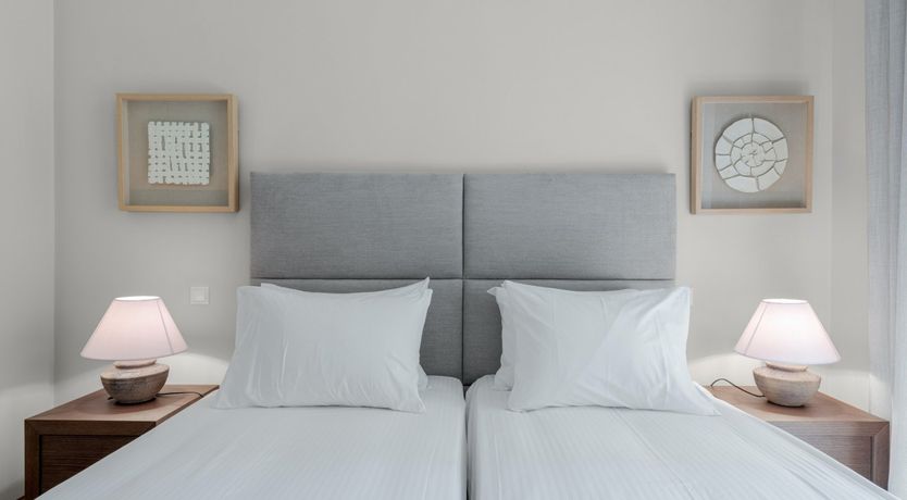 Photo of Athenian Stallion