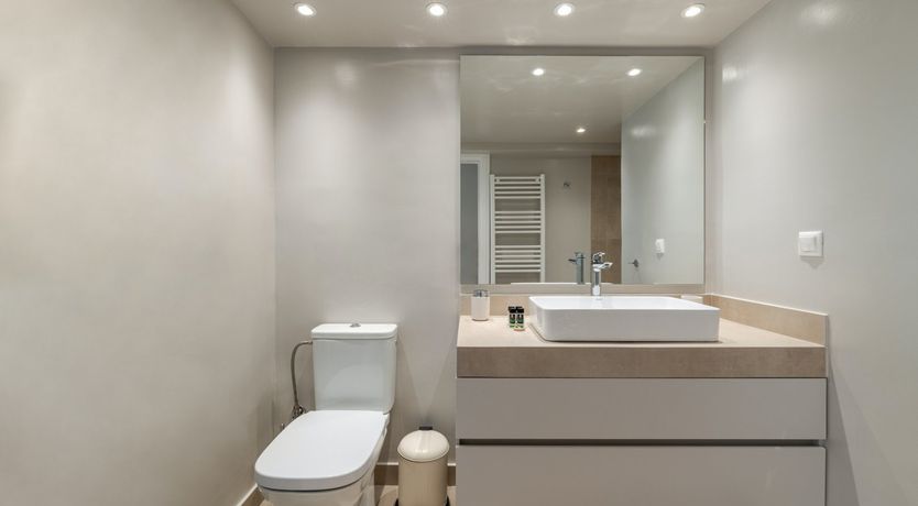 Photo of Athenian Stallion