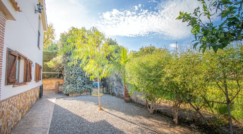 Photo of In The Green