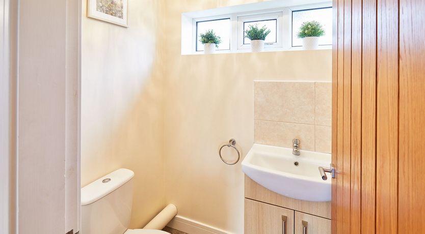 Photo of Sandy Trails