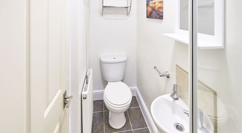 Photo of Starry Blue