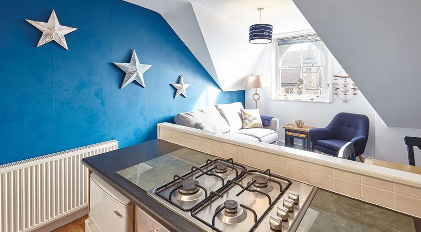 Photo of Starry Blue