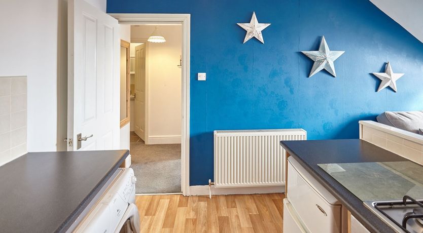 Photo of Starry Blue