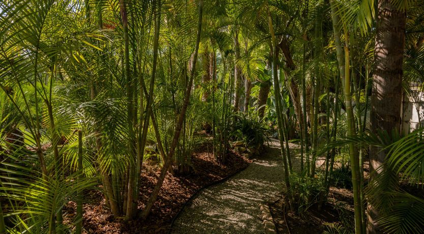 Photo of It's Golden Hour