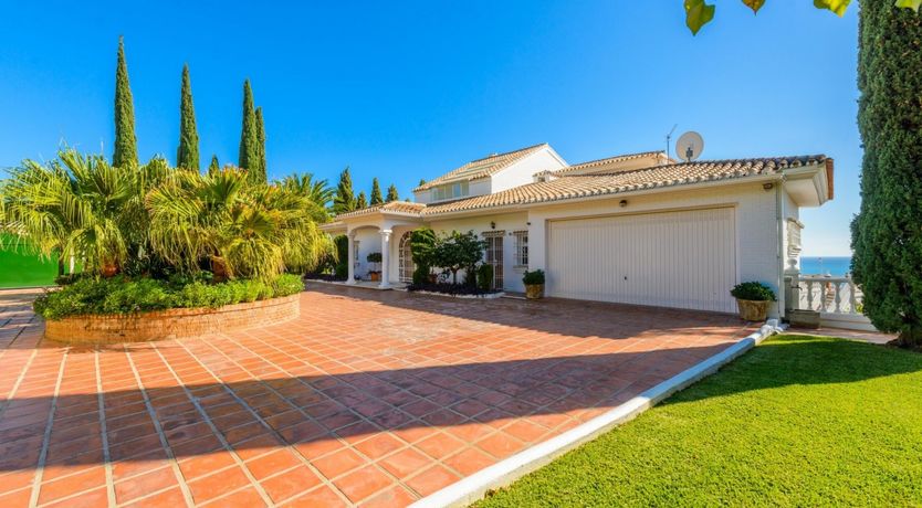 Photo of Sea Tapestry