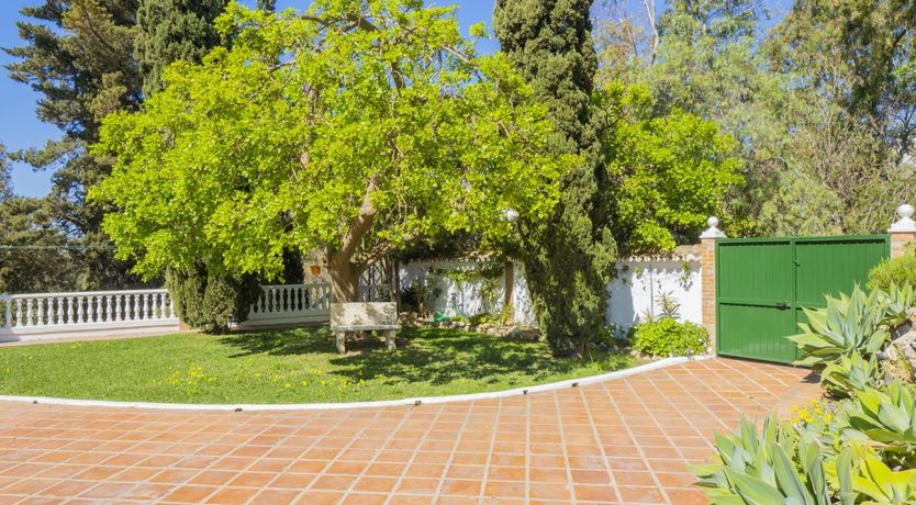 Photo of Sea Tapestry