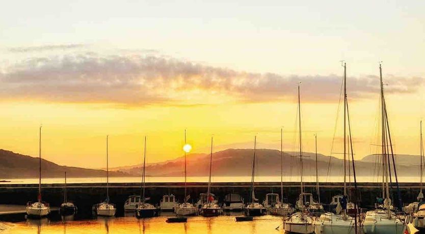 Photo of Lavender Sea