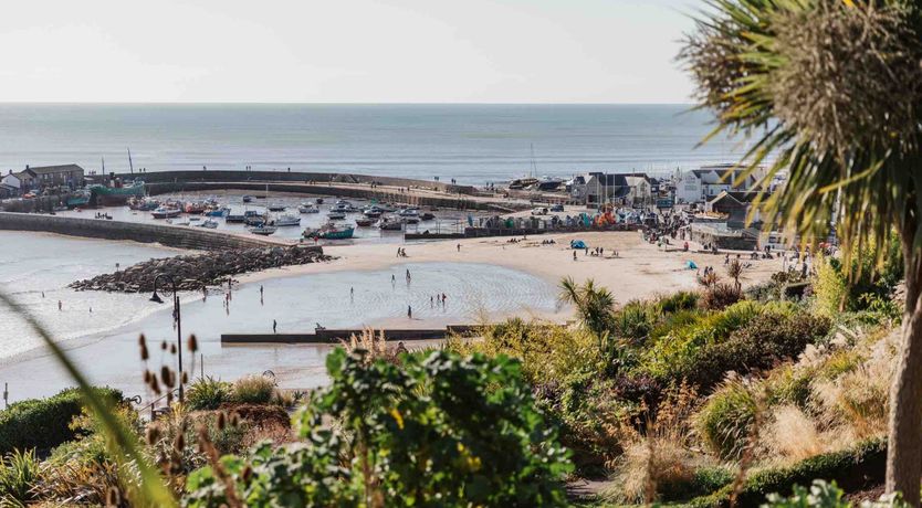 Photo of Lavender Sea