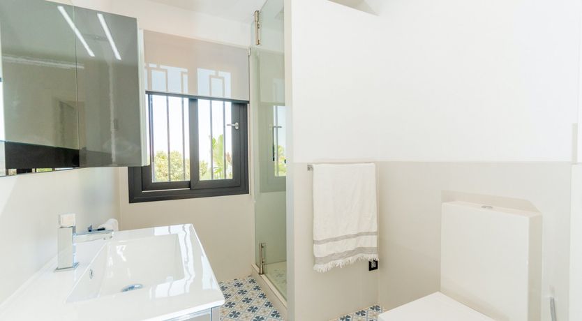 Photo of A Hammock of Sunshine