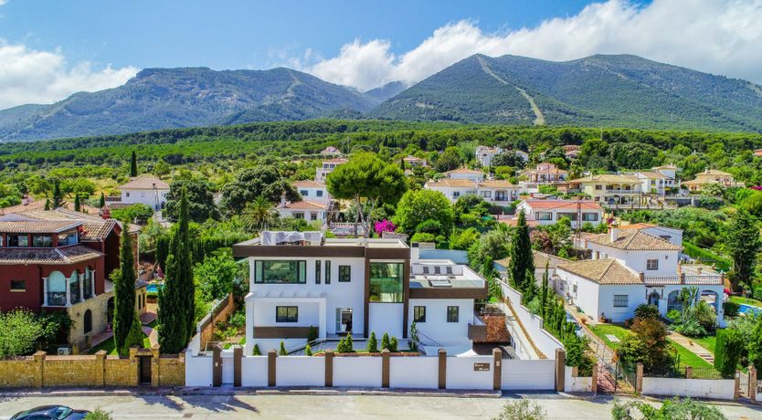 Photo of A Hammock of Sunshine
