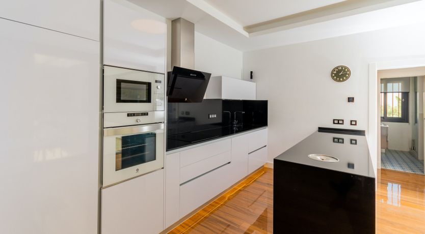 Photo of A Hammock of Sunshine