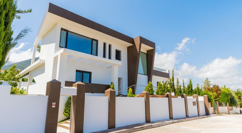 Photo of A Hammock of Sunshine