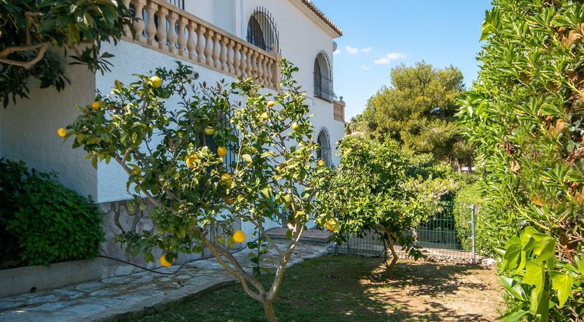 Photo of Spanish Charm