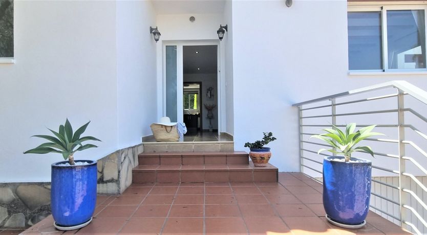 Photo of Sparkling Opal