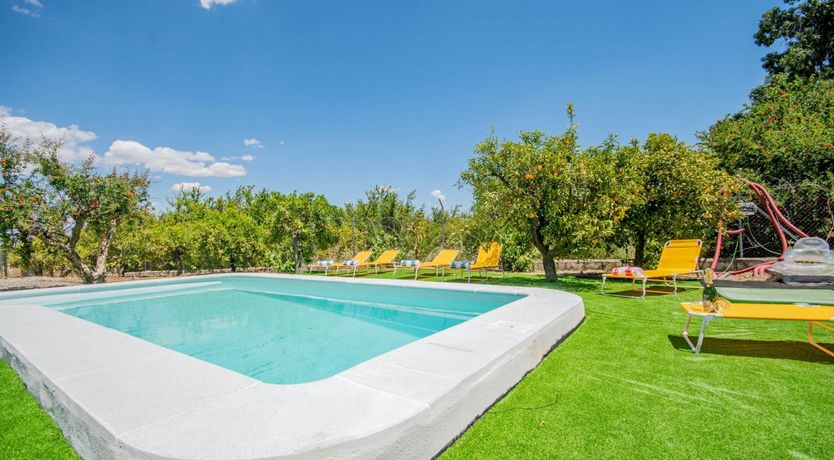 Photo of White Wine Spritzer