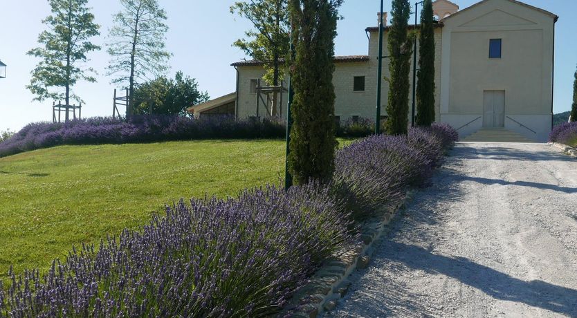 Photo of Fey Wild Hill