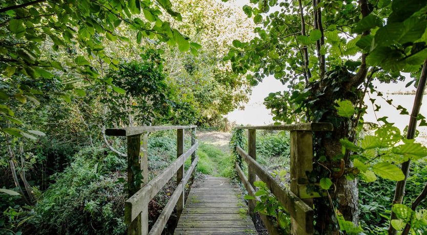 Photo of A Dorset Dream