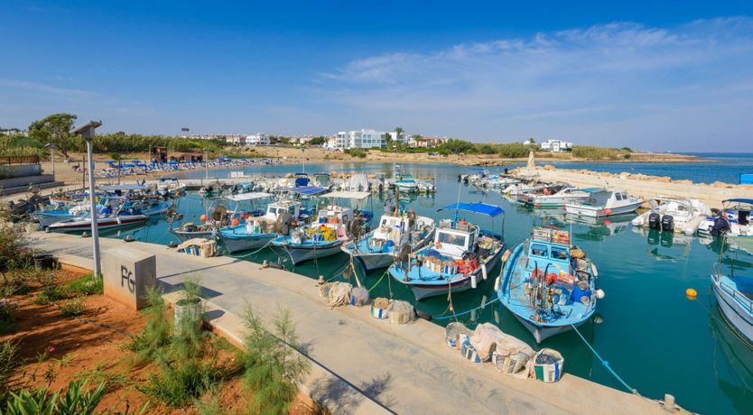 Photo of Cerulean Horizon