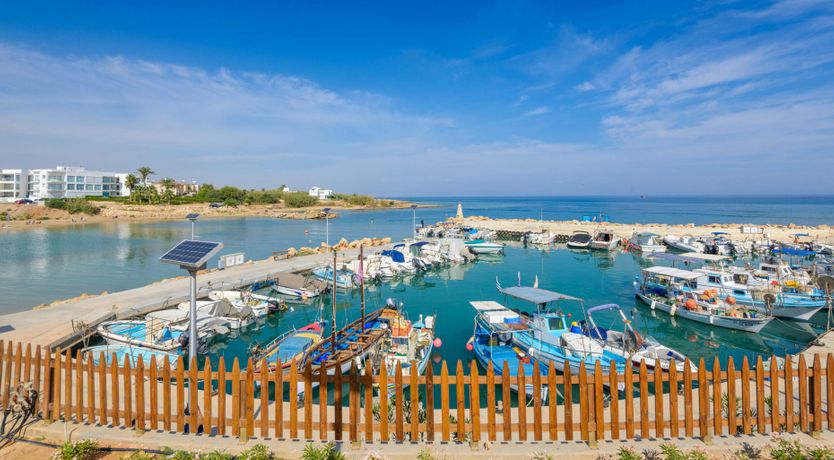 Photo of Cerulean Horizon